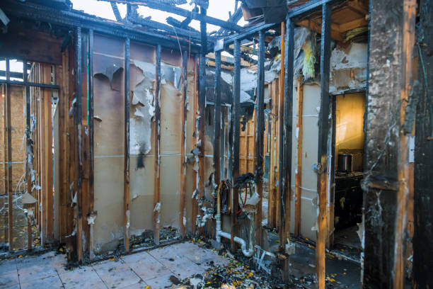 Professional Fire Damage Removal technician working in Vermillion, MN