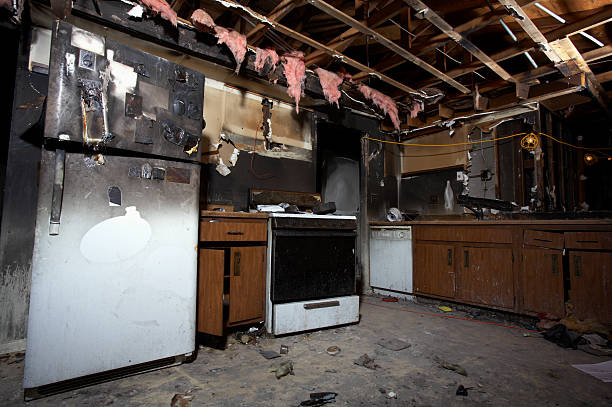Licensed Fire Damage Removal service in Vermillion, MN - Fire Damage Laser Cleaning